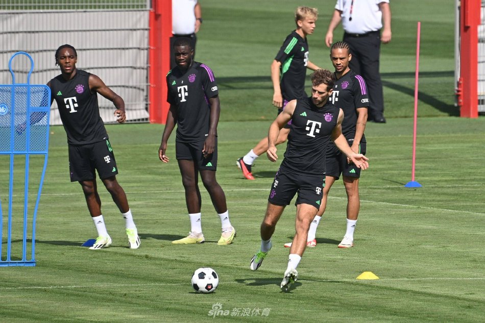 亚的头号种 亚的头号种