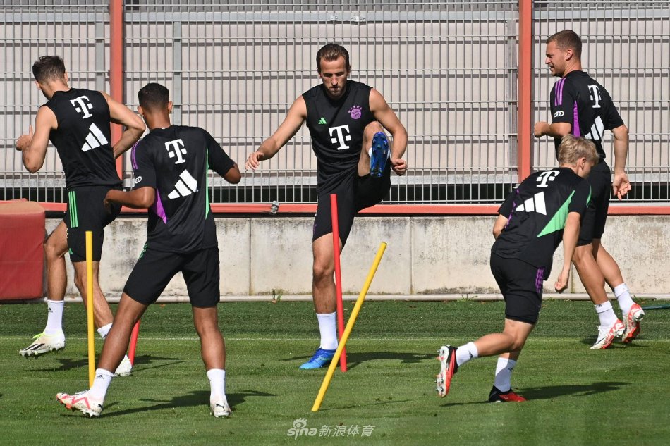 系不仅令迈 系不仅令迈